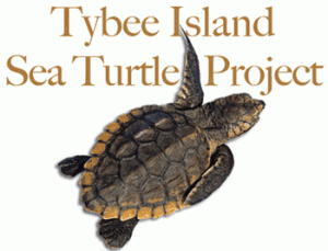Tybee Island Sea Turtles, Mermaid Morning Bliss Coffee