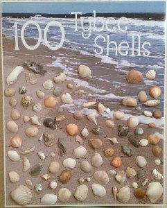 Picture of Shells