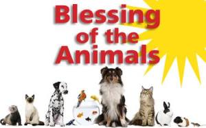 Tybee Island's Blessing of the Animals