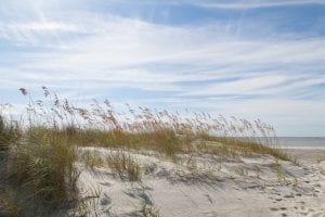 tybee island sand dune