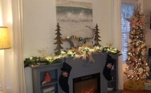 Christmas comes to Nora's Cottage