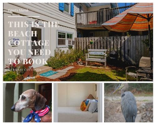 pack your wags for Mermaid Cottages and Tybee Island
