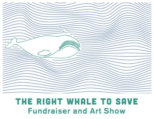 the right whale to save