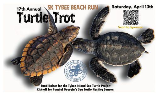tybee turtle trot